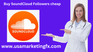 Buy SoundCloud Followers cheap (2)